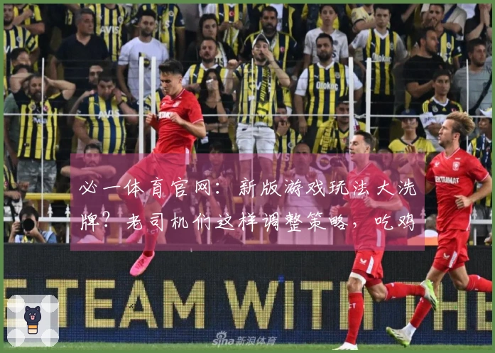 必一体育官网：新版游戏玩法大洗牌？老司机们这样调整策略，吃鸡效率翻倍！