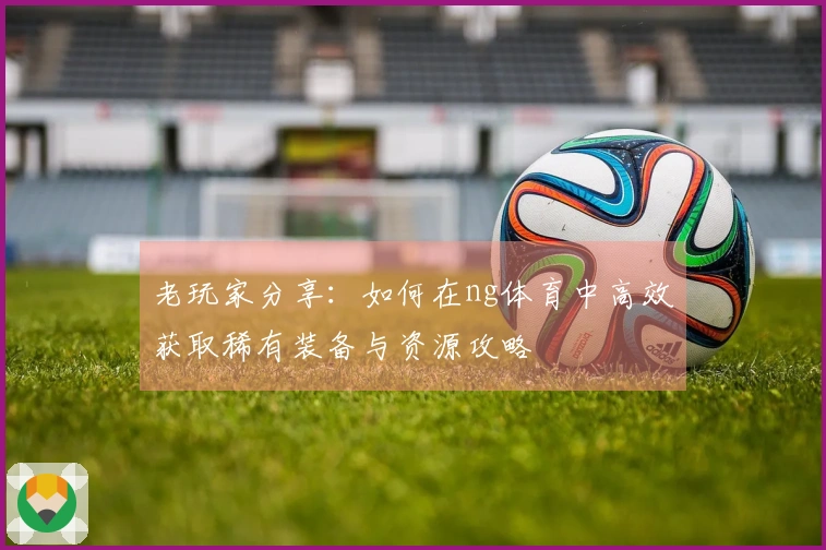 老玩家分享：如何在ng体育中高效获取稀有装备与资源攻略
