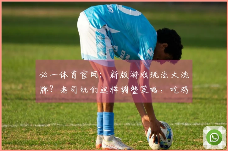 必一体育官网：新版游戏玩法大洗牌？老司机们这样调整策略，吃鸡效率翻倍！