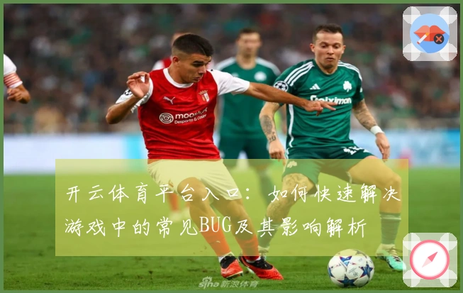 开云体育平台入口：如何快速解决游戏中的常见BUG及其影响解析